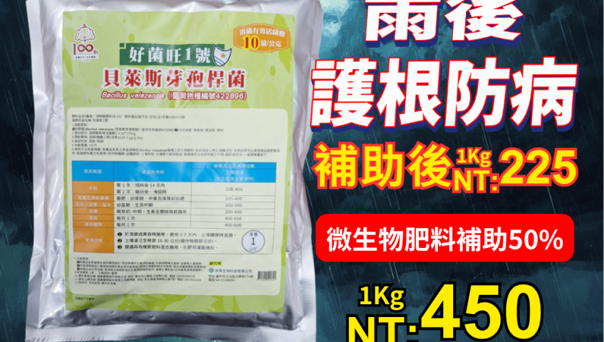 20260715風雨過後救作物！施用好菌旺1號增加土壤優勢菌群，活化根圈，快速恢復生長勢！
