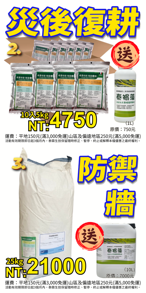 颱風淹水免驚！泰霖綠馨1號游離氨基酸快速補血，抗澇修復傷口、對抗災後高溫，助作物起死回生！💪強風豪雨加淹水，作物根系缺氧、葉片破損怎麼辦？退水後黃金復育期，快用綠馨1號游離氨基酸！
高分子直接葉面吸收，免經根系，迅速修補受損細胞！配合殺菌劑與微量元素，築起災後高溫高濕防禦牆，防止病害爆發與烈日曬傷！
🌱 適用作物與稀釋倍數：
葉菜類（空心菜）：葉面噴施 2000-3000倍
果樹類（柑橘/芒果）：葉面噴施 2000倍
瓜果類（小黃瓜/番茄）：葉面噴施 2000倍
趕快備貨，為風雨過後做好萬全準備！📢
