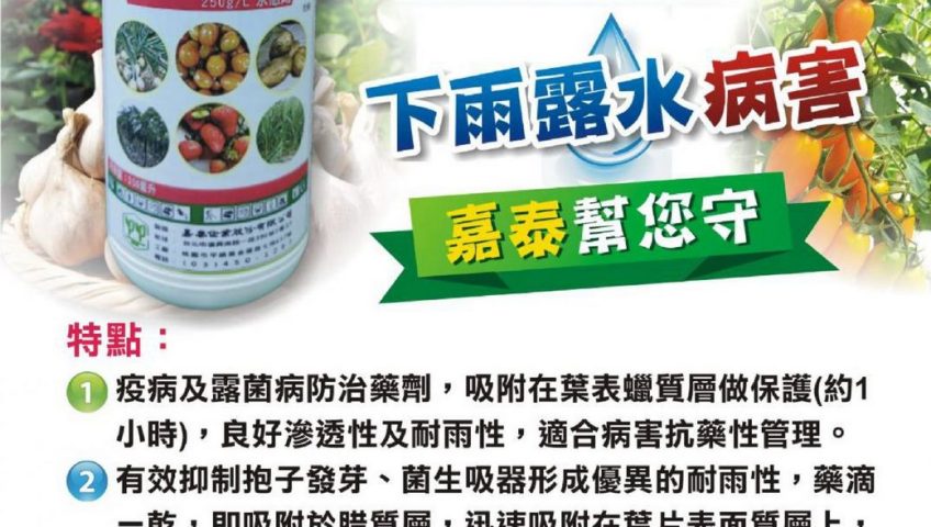 20260710巴威颱風逼近！葫蘆科作物與葉菜類防治關鍵期，快用曼普胺稀釋2500倍，雨前搶先做好全面防護！
