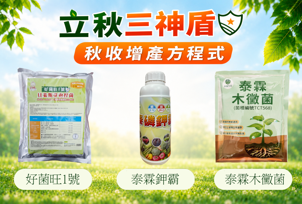 🍂【立秋養根黃金期】好菌旺1號 × 泰磷鉀霸 × 泰霖木黴菌── 養根先穩，秋收才會滿！