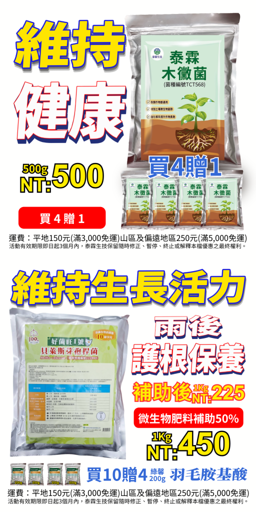 [[2026-08-10]]打造優良根系環境，好菌旺1號泰霖木黴菌，雙菌協同護理！